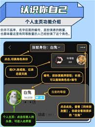 如何在名人朋友圈中进行临时会话——开启与明星的即时交流之门