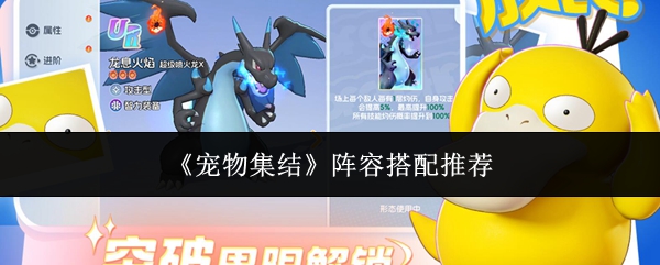 《宠物集结》阵容策略推荐，为你提供专业的搭配方案