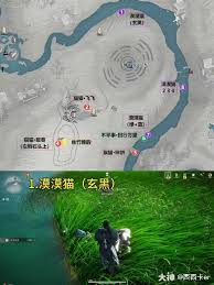 燕云十六声狮子坟宝箱的具体位置在哪里—寻找燕云十六声狮子坟中的宝箱诀窍