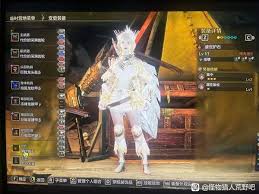 关于怪物猎人荒野巨戟龙战斗中如何实现纯肉装搭配，这里为您详细介绍一种最优的配装方案。 

