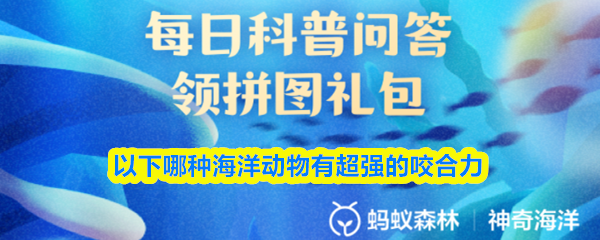 在众多海洋生物中，哪一种展现出最强大的咬合能力？