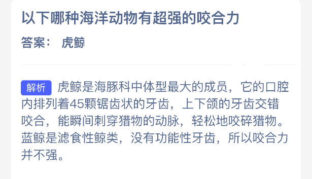 在众多海洋生物中，哪一种展现出最强大的咬合能力？