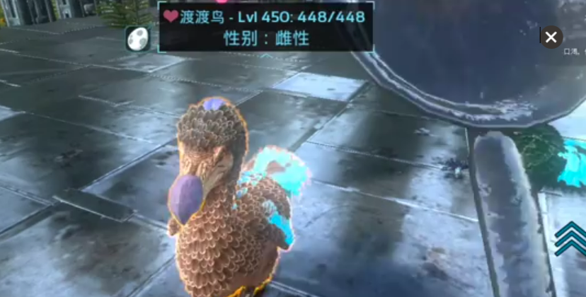 《方舟：生存进化》中渡渡鸟及其巨型变种的高效培育指南