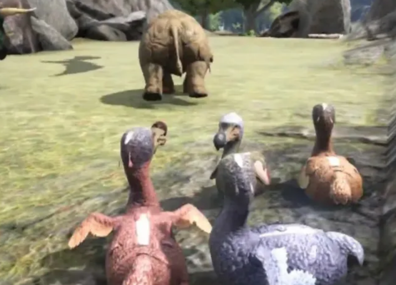 《方舟：生存进化》中渡渡鸟及其巨型变种的高效培育指南