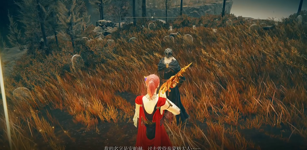 《艾尔登法环》中的安帕赫套装获取指南
