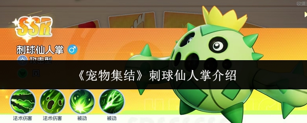 《宠物集结》中刺球仙人掌的详细介绍

