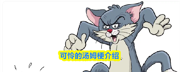 关于“可怜的汤姆”这一网络热梗的详细介绍  
