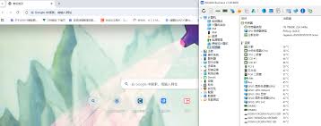 在Bing浏览器中开启开发者工具的方法介绍-详细指南
