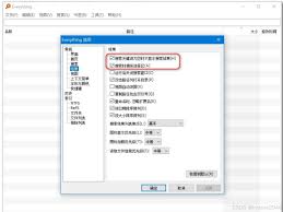 关于如何调整 Everything 中的运行历史保存天数，具体操作流程是怎样的？