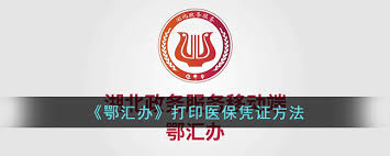 如何通过鄂汇办应用程序进行残疾证的补办——详细操作步骤与流程指南

