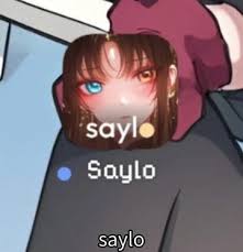 如何从saylo中移除剧本——详细操作指南