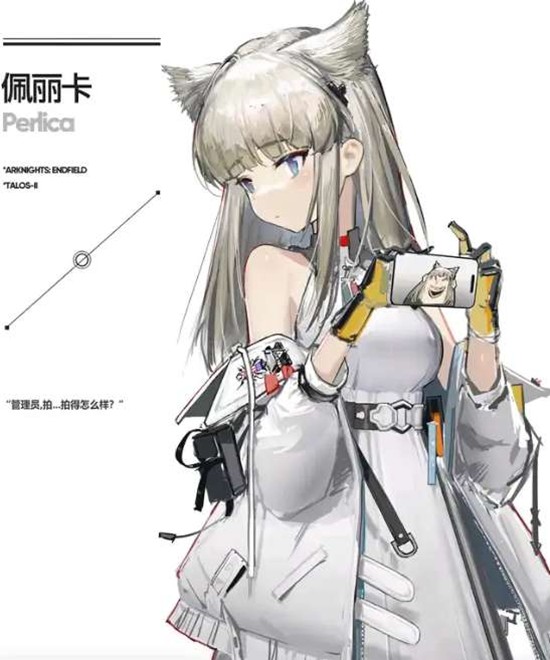 《明日方舟：终末地》佩丽卡阵容搭配指南