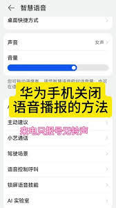 如何禁用华为设备的来电语音播报功能—详解关闭华为语音助手来电播报的方法