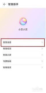 如何禁用华为设备的来电语音播报功能—详解关闭华为语音助手来电播报的方法