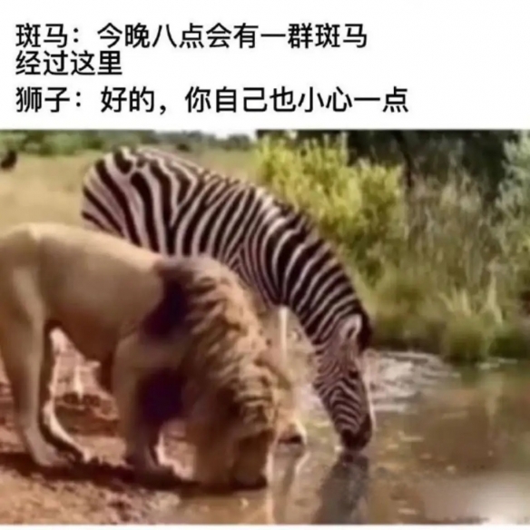 这包沙子看起来异常怪异，令人忍俊不禁_囧图_在这场羽毛球比赛中又怎能轻松应对？