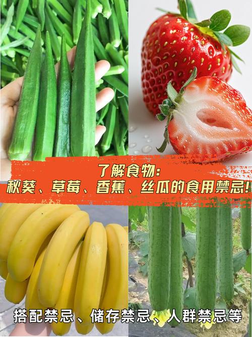 向日葵草莓丝瓜秋葵香蕉合集