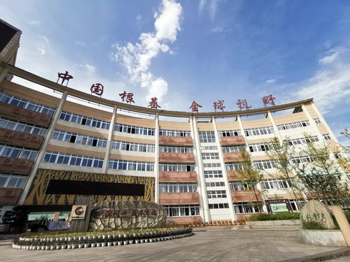 精品国产第一国产综合精品