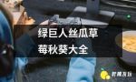 草莓香蕉榴莲丝瓜秋葵绿巨人在线