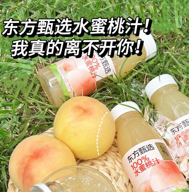 水蜜桃实验研究所中心