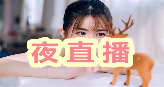 深夜直播APP