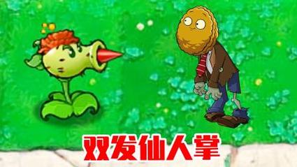 仙人掌免费视频版