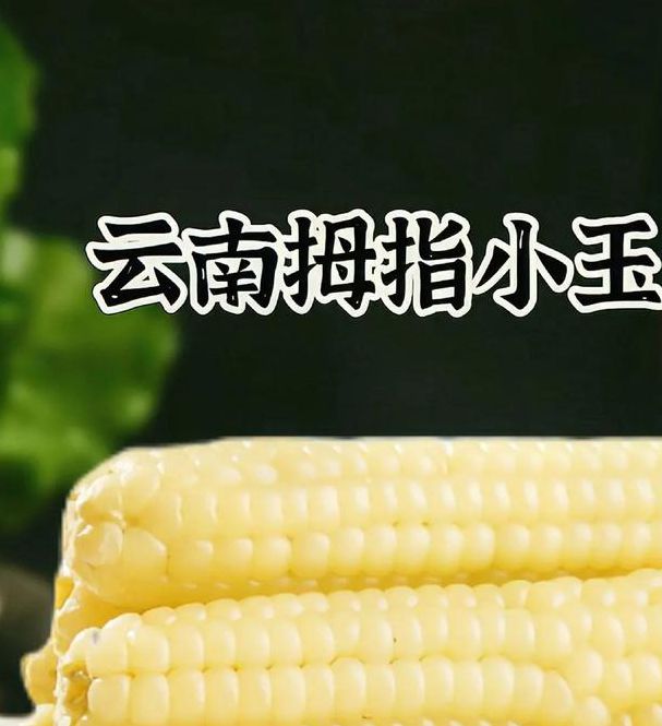 玉米视频v2.9.8.5