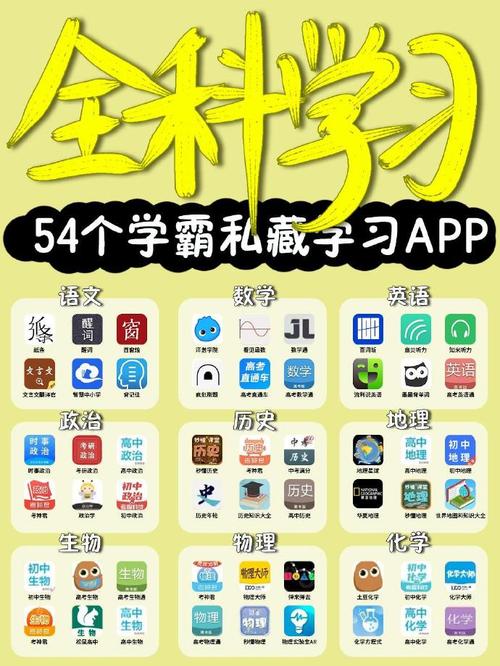 小科科app软件