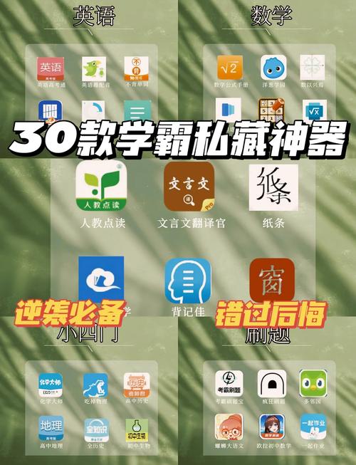 小科科app软件