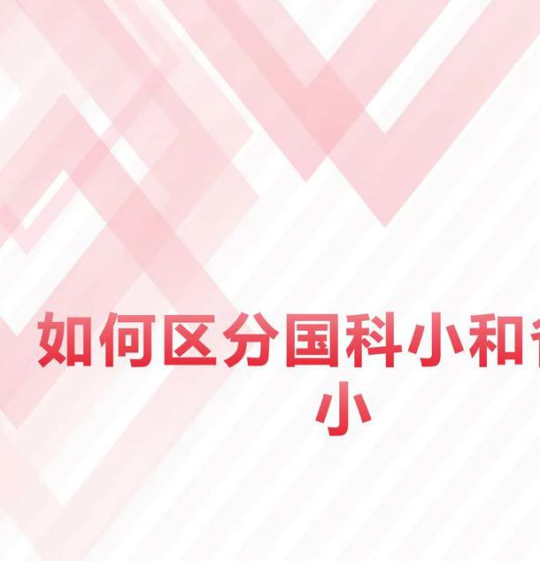 小科科app软件