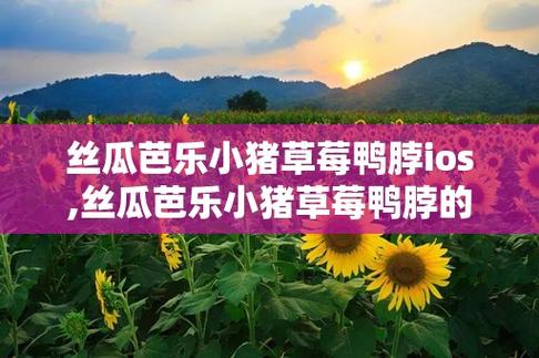 丝瓜草莓小猪鸭脖官方免费