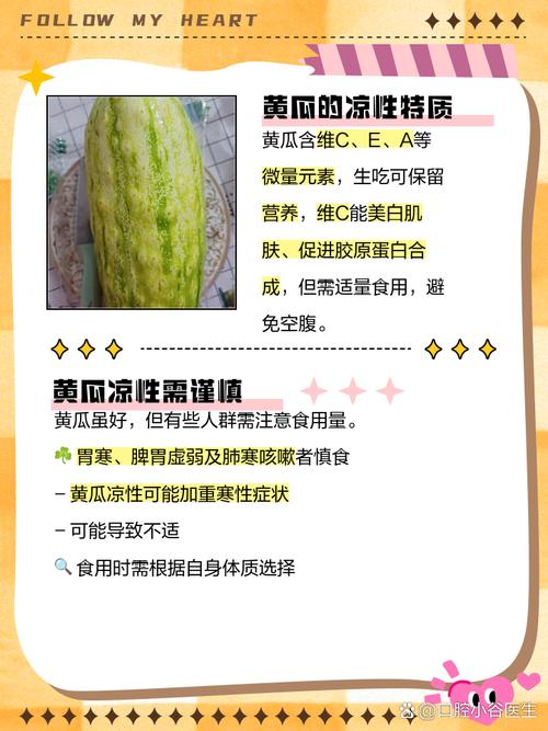 黄瓜成版人性视频手机版