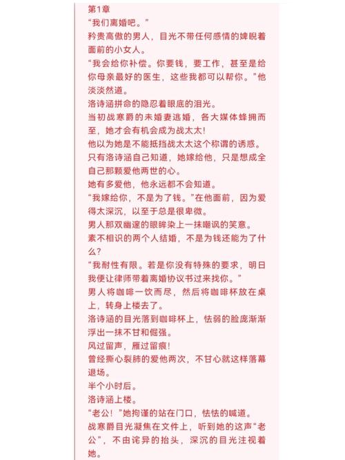 洛诗涵和战寒爵小说全文免费阅读正版笔趣阁