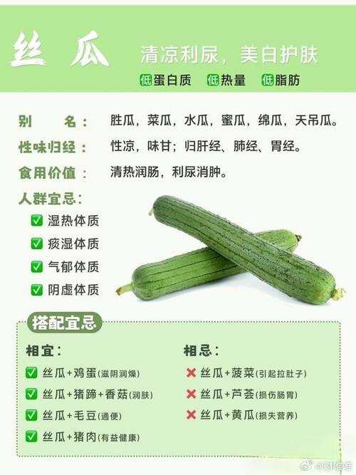芭乐丝瓜向日葵茄子黄瓜