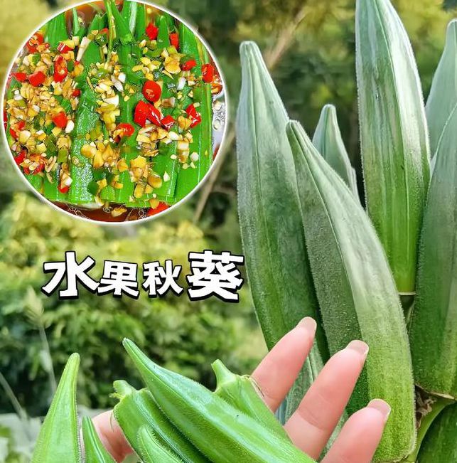 小蝌蚪视频榴莲视频秋葵视频