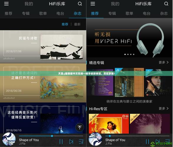 中文天堂最新版资源www