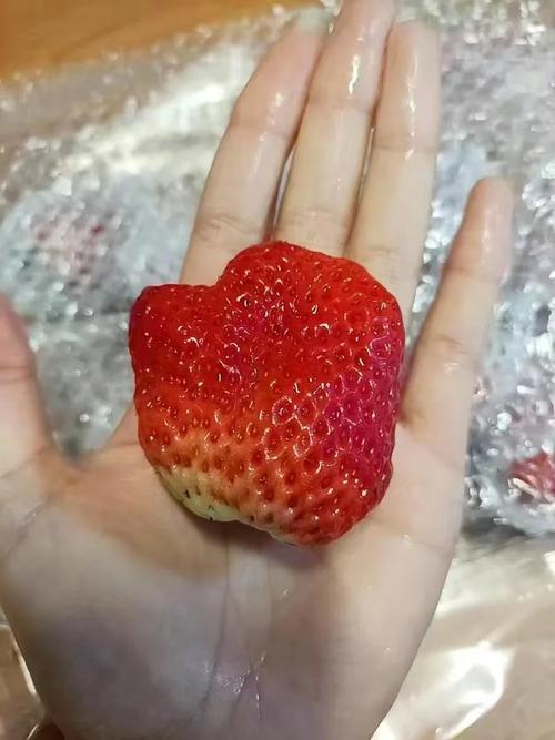 幸福宝草莓榴莲深夜释放自己iOS