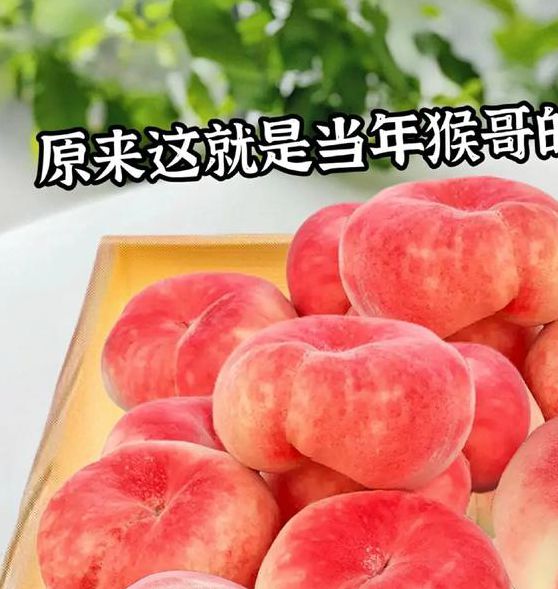 蟠桃一个人看的视频观看