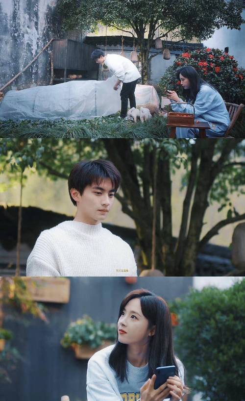 剩女的梦幻庄园