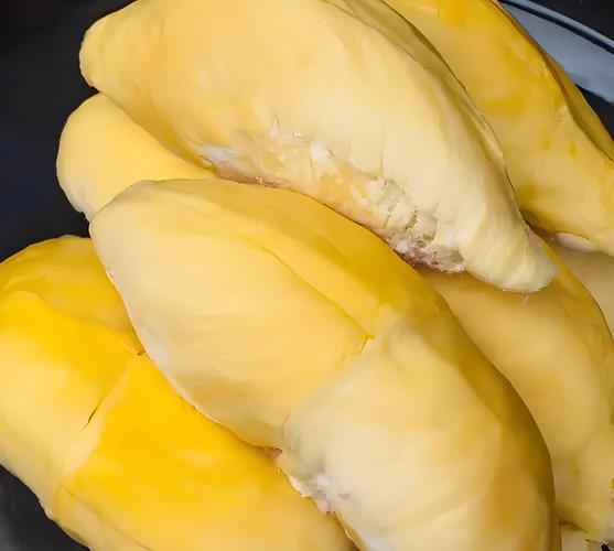 榴莲视频无限制