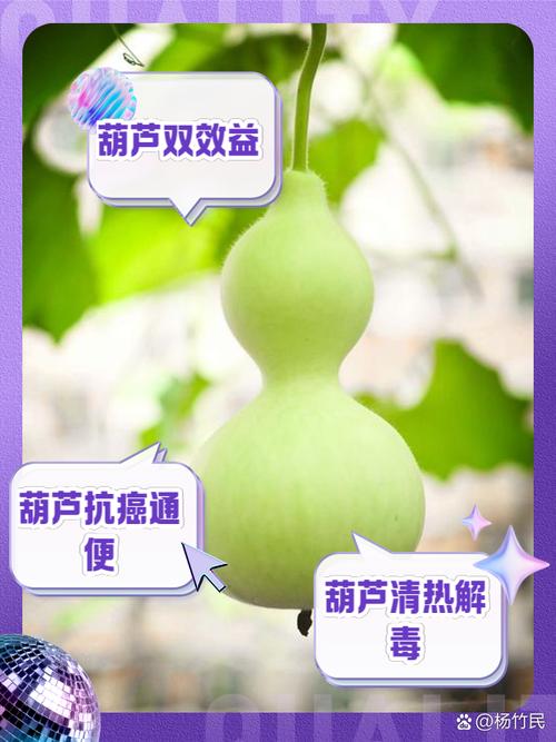 葫芦在线网页官网