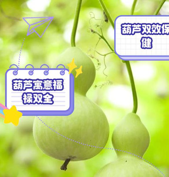 葫芦在线网页官网