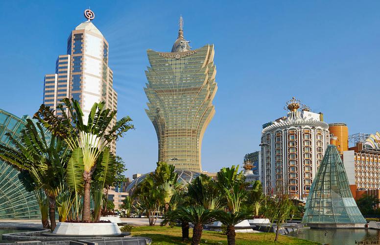 葡京在线无码免费视频