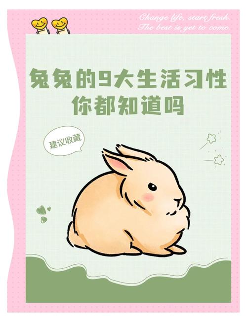 小白兔视频app无限制