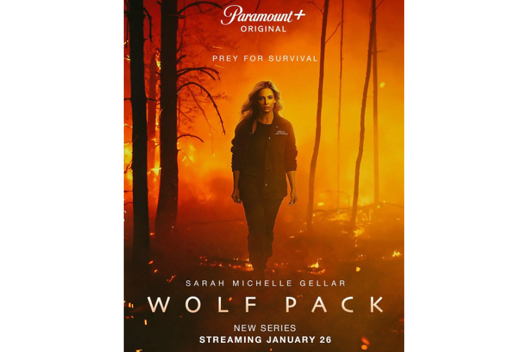 狼群影院中文字幕在线