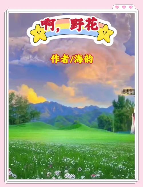 野花视频在线观看最新