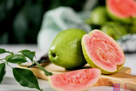 草莓丝瓜芭乐樱桃榴莲大全