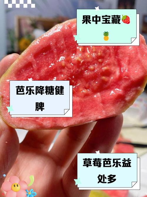 草莓丝瓜芭乐樱桃榴莲大全