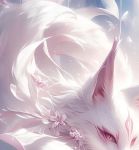 九尾狐短视频安卓版