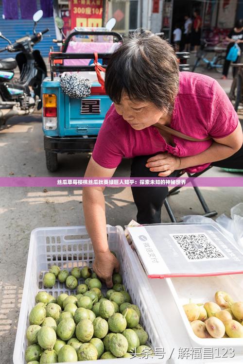 秋葵草莓丝瓜黄瓜绿巨人