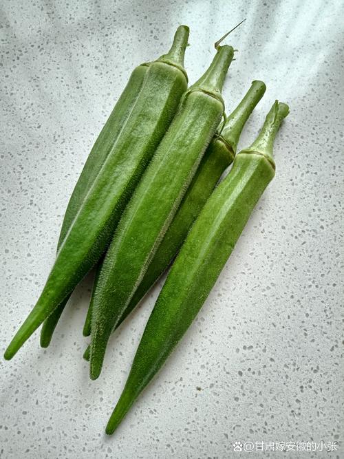 秋葵男的加油站女人的美容院黄